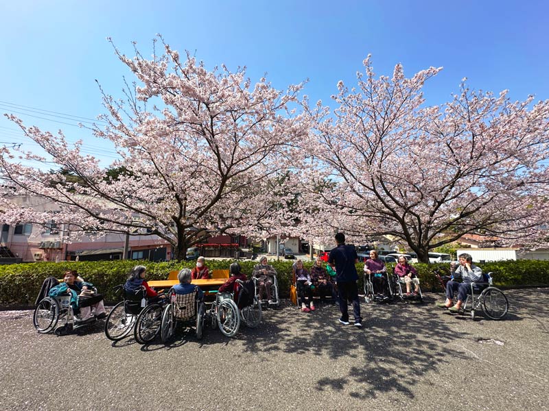 梅の花
